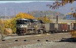 NS 1096 7503